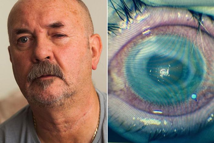 ___4509967___https:______static.pulse.com.gh___webservice___escenic___binary___4509967___2015___12___31___0___lens_2619775a