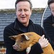 Son to be published book makes a shocking claim that British Prime Minister David Cameron put a “private part of his anatomy” in a dead pig’s mouth as part of a student initiation ritual at Oxford.