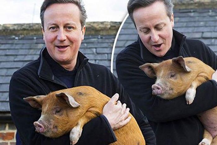 Son to be published book makes a shocking claim that British Prime Minister David Cameron put a “private part of his anatomy” in a dead pig’s mouth as part of a student initiation ritual at Oxford.