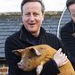 Son to be published book makes a shocking claim that British Prime Minister David Cameron put a “private part of his anatomy” in a dead pig’s mouth as part of a student initiation ritual at Oxford.