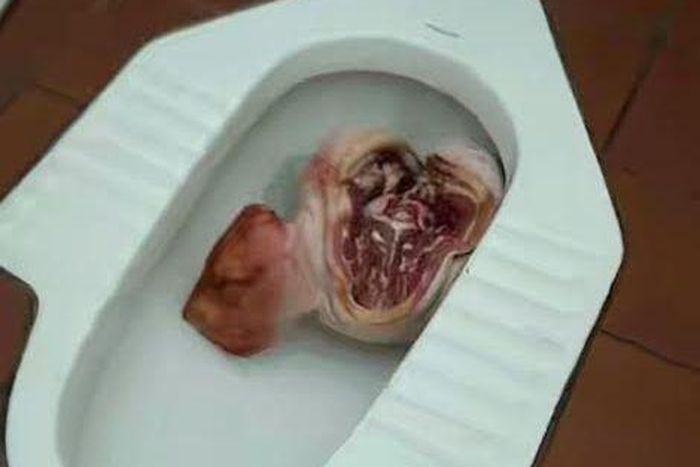 Severed head of pig found in Mosque's toilet in University