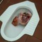 Severed head of pig found in Mosque's toilet in University