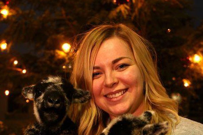 ___4498620___https:______static.pulse.com.gh___webservice___escenic___binary___4498620___2015___12___26___18___PAY-lambs