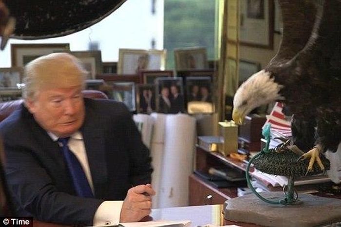 Donald Trump freaks out over bald eagle during shoot for Time magazine