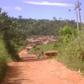 The silent Owukpa Community