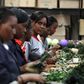 Workers prepare preserved foliage at the Vermont Flowers export processing zone (EPZ) factory in Kenya's capital Nairobi March 10, 2011. REUTERS/Thomas Mukoya