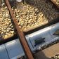 Turtle tunnels built to help tiny animals cross railways safely