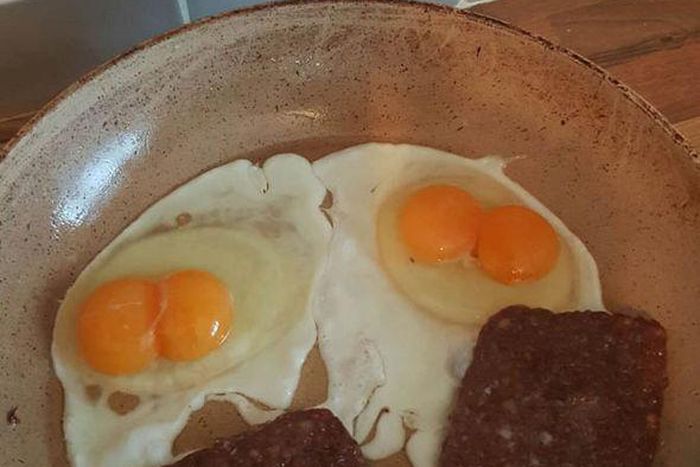 ___4489450___https:______static.pulse.com.gh___webservice___escenic___binary___4489450___2015___12___22___23___eggs3