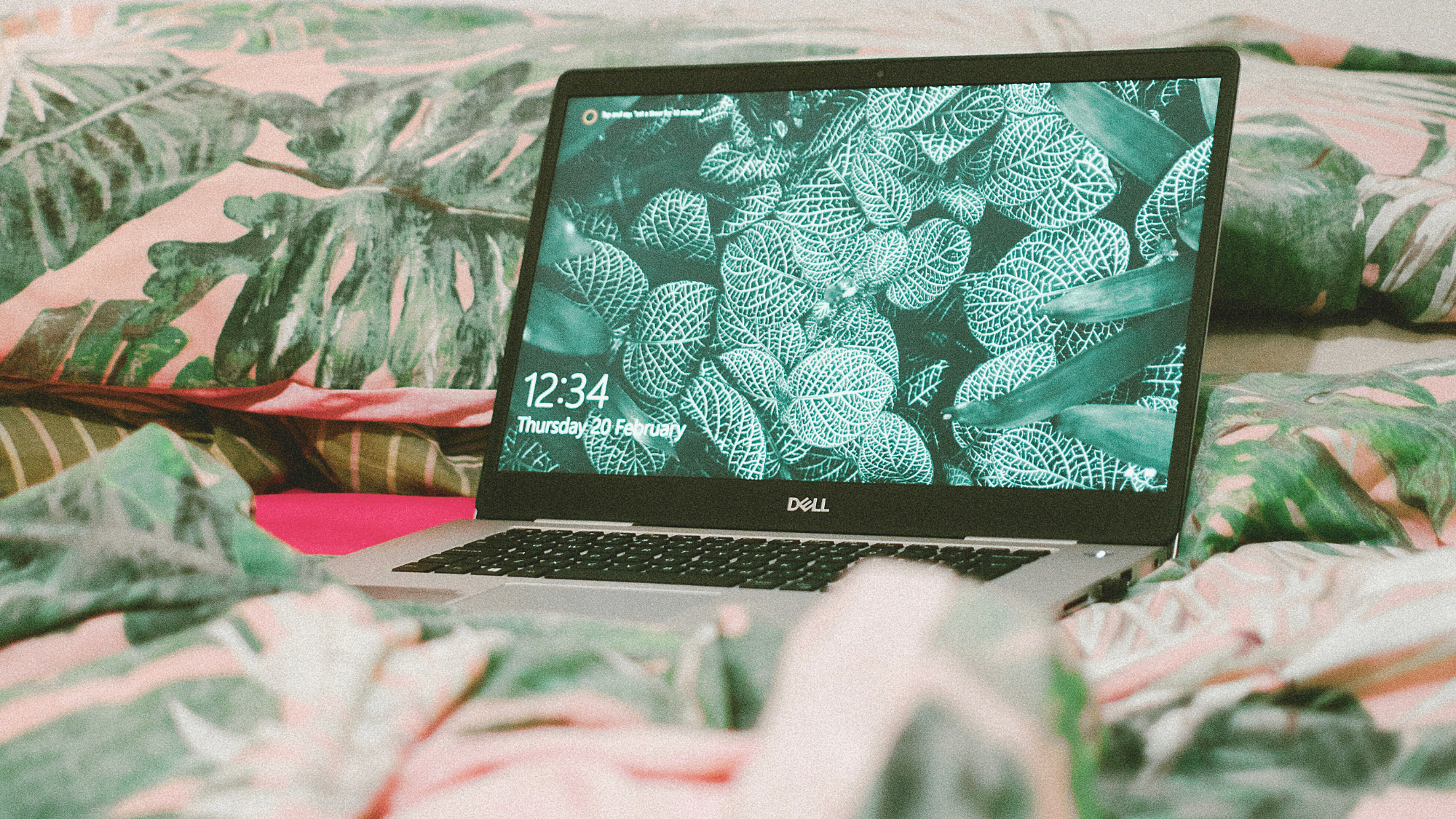 Is the Internet Less Fun? AI, Commerce, and SEO Culture Is Killing the Magic