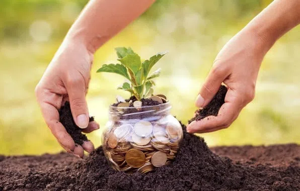 Best strategies to profit from a devalued Naira in Nigeria