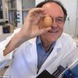 An Australian scientist has been honoured with an Ig Nobel prize for creating a way to unboil an egg.