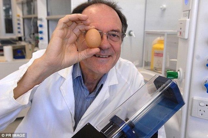 An Australian scientist has been honoured with an Ig Nobel prize for creating a way to unboil an egg.