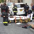 A homeless man was nearly mauled to death by an unleashed pit bull