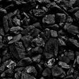 Coal