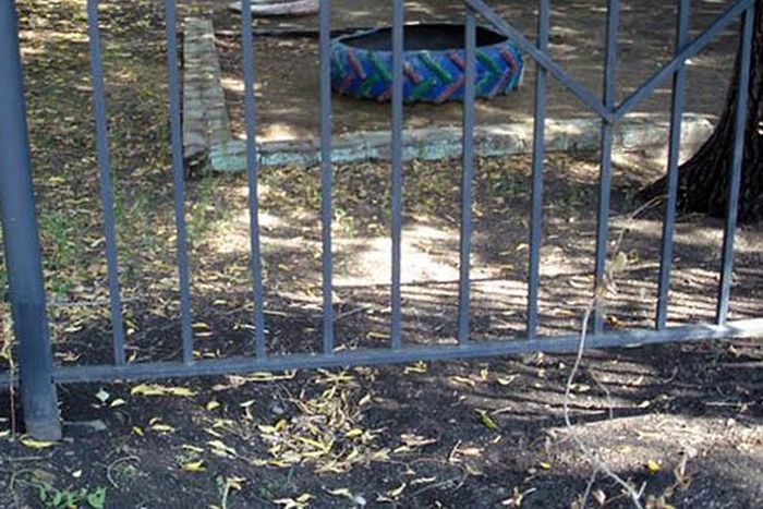 They dug under the fence