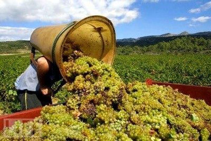 ___4115514___https:______static.pulse.com.gh___webservice___escenic___binary___4115514___2015___8___28___19___morocco