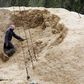 A farmer unloads rice straw for cattle from a boat near the river Nile on the outskirts of Cairo November 2, 2014. REUTERS/Amr Abdallah Dalsh