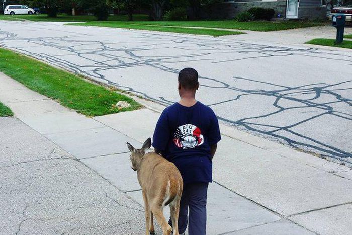 10-year old boy heartwarming gesture towards blind deer goes viral