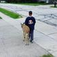 10-year old boy heartwarming gesture towards blind deer goes viral