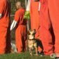 Prisoners given abandoned dogs as cell mates