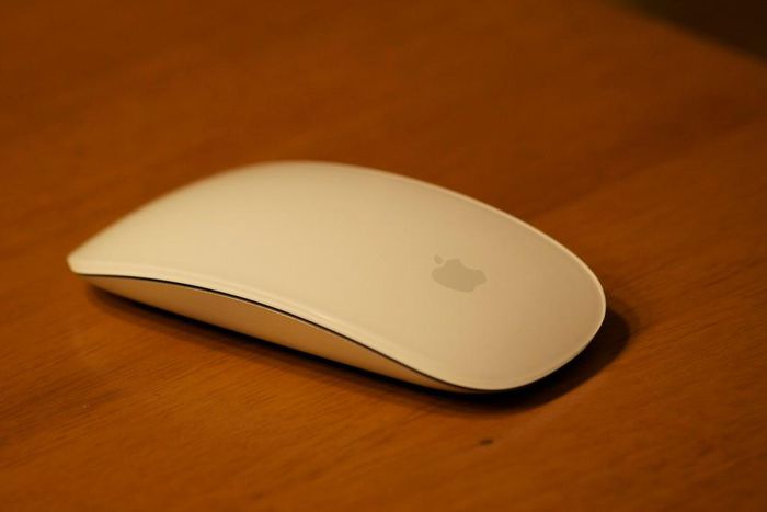 Apple magic mouse