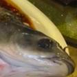 A footage of a fish coming back to life has gone viral, after it was seen dancing and twitching in a sweet and sour sauce.