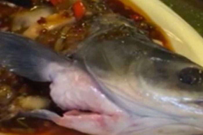 A footage of a fish coming back to life has gone viral, after it was seen dancing and twitching in a sweet and sour sauce.