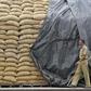 Sudan's finance ministry scraps subsidy for imported wheat purchases