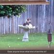 If this dog can be a bird…THEN YOU CAN TEXT BACK