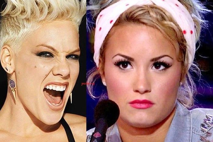 Pink clashes with Demi Lovato on Twitter