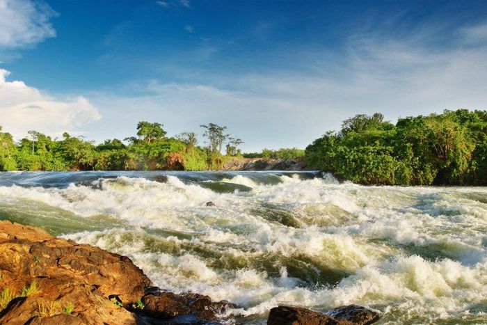 ___4104474___https:______static.pulse.com.gh___webservice___escenic___binary___4104474___2015___8___25___19___white-nile