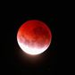 Blood red moon