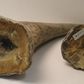 Rhino horns are pictured in this undated handout photo courtesy of the United States Attorney's Office, District of New Jersey. REUTERS/United States Attorney's Office, District of New Jersey/Handout