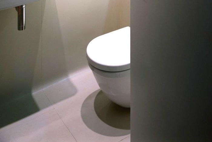 ___4138317___https:______static.pulse.com.gh___webservice___escenic___binary___4138317___2015___9___4___16___toilet0915