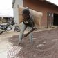 A man carries a cocoa bag while walking over cocoa beans left out to dry in Niable, at the border between Ivory Coast and Ghana, June 19, 2014. Picture taken June 19, 2014.    REUTERS/Thierry Gouegnon