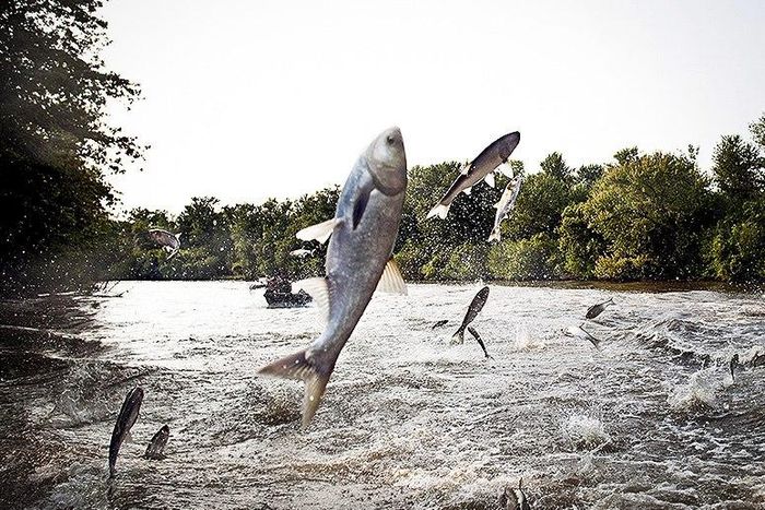 Aid rushed to Yemen island after cyclone displaces over 40,000 - U.N.