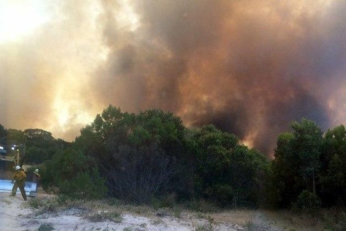 Australia bushfire kills two people, thousands of animals