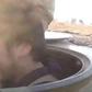 Jihadi suicide bomber seen crying before driving off to die in Syria
