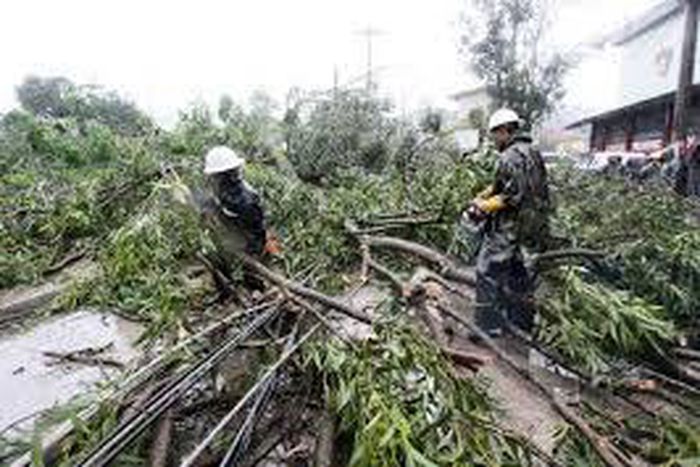 Typhoon Goni batters Philippines, kills four, displaces hundreds