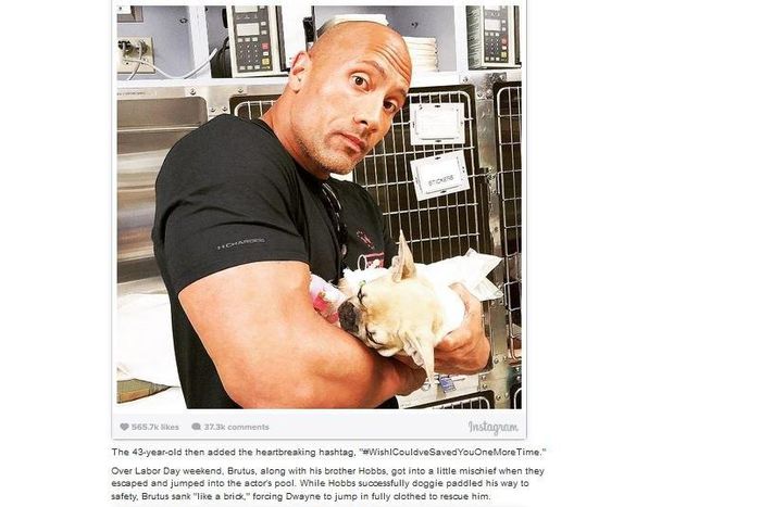 Dwayne Johnson loses puppy to food poisoning