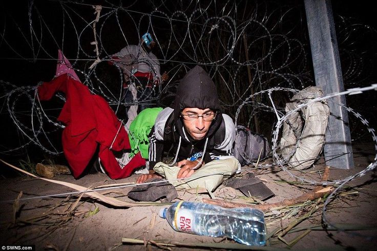 Hungarian police says captured record 3,321 migrants on Weds