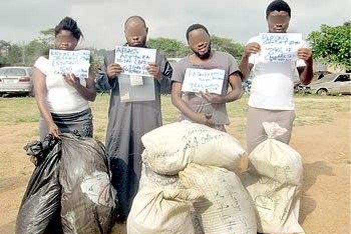 NDLEA intercepts truck loaded with 408kg of Indian hemp in Jos