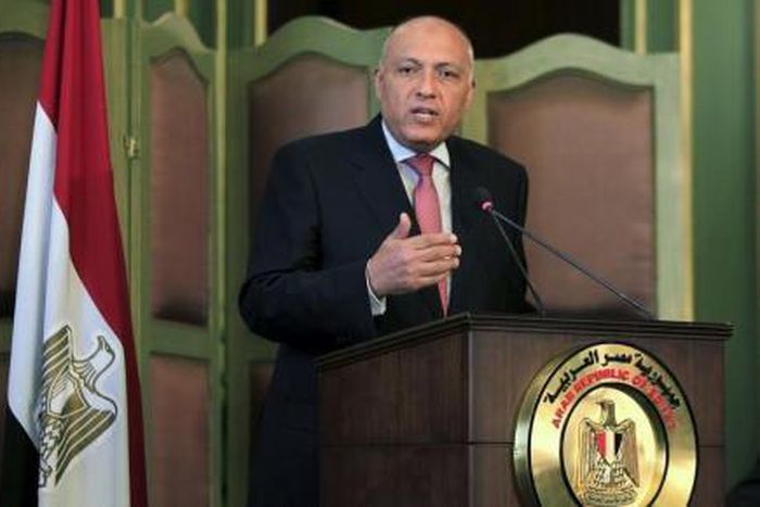 Egyptian Foreign Minister Sameh Shoukry speaks during a news conference after a meeting with his Italian counterpart Paolo Gentiloni at the foreign ministry in Cairo, Egypt, July 13, 2015.