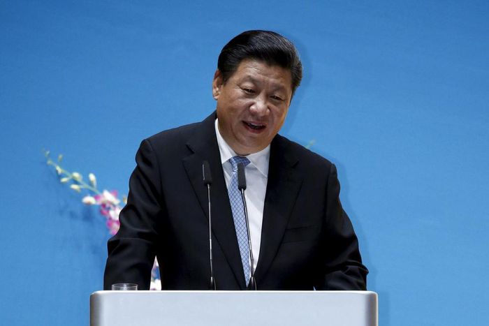 China pledges to work with Africa in fighting militancy after Mali attack