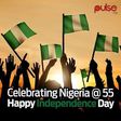___4222068___https:______static.pulse.com.gh___webservice___escenic___binary___4222068___2015___10___2___11___Nigeria-at-55