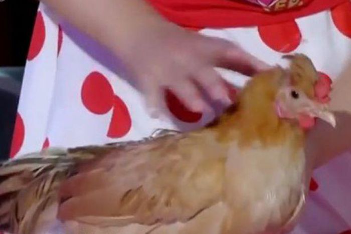 Amazing: she sends the animals into a trance