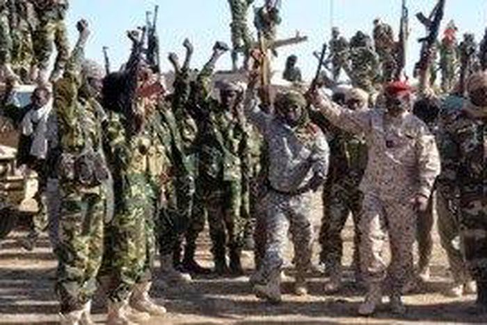 Troops make steady progress in Sambisa forest - Army Spokesman