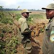 Congolese park rangers on patrol in a file photo. REUTERS/Finbarr O'Reilly - RTRD7CC