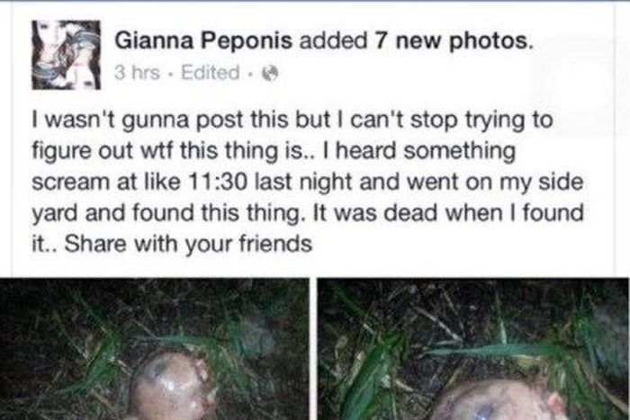 Woman shares photos of unidentified dead creature