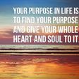 Finding your purpose in life
